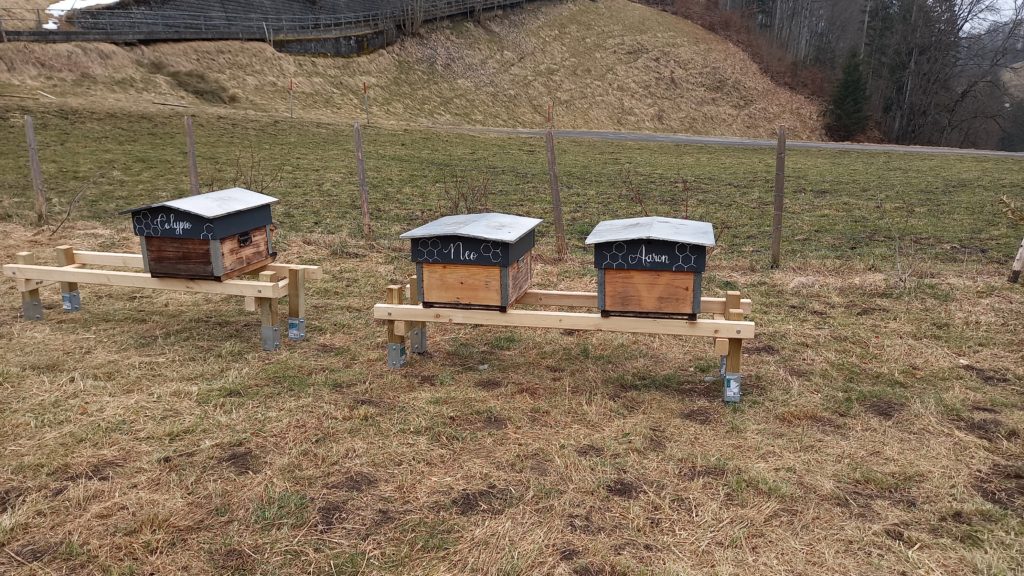 20250223_152558-1024x576 Apiculture