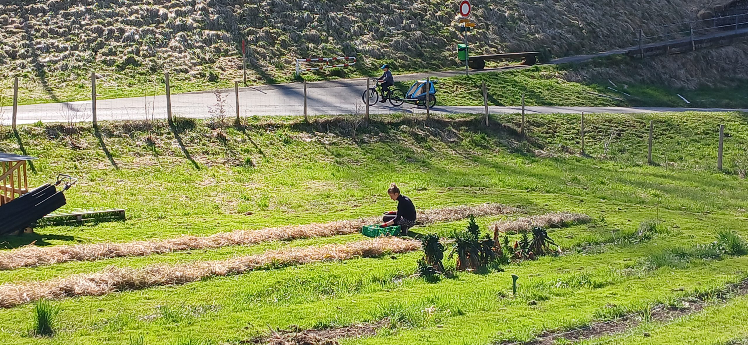 2025-04-05-11.00.03-scaled Le jardin redémarre