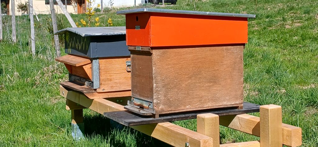 2025-04-07-11.10.48-1024x473 Apiculture